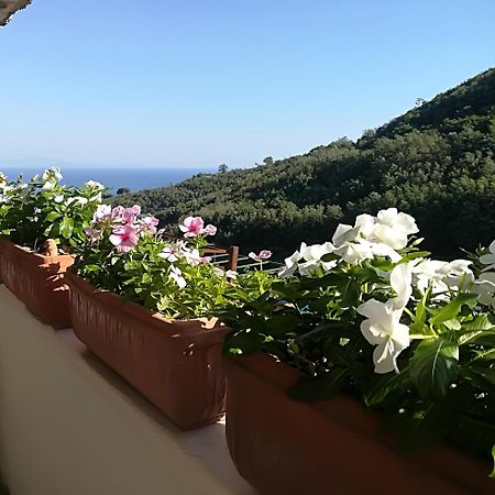 Bed and Breakfast Il Covo Delle Civette Виетри Экстерьер фото