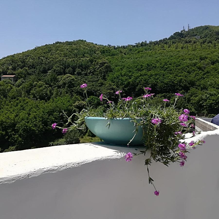 Bed and Breakfast Il Covo Delle Civette Виетри Экстерьер фото