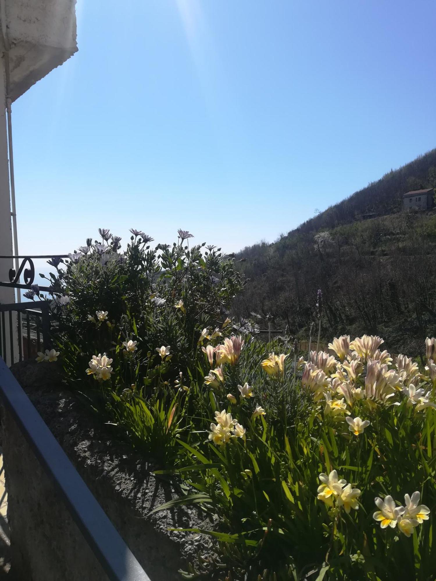 Bed and Breakfast Il Covo Delle Civette Виетри Экстерьер фото